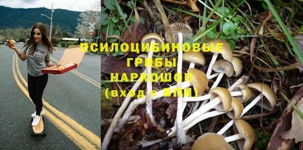спиды Алзамай