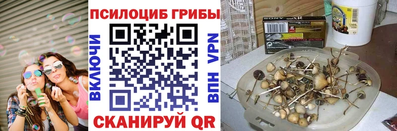 Галлюциногенные грибы прущие грибы  где можно купить наркотик  mega как зайти  Красногорск 